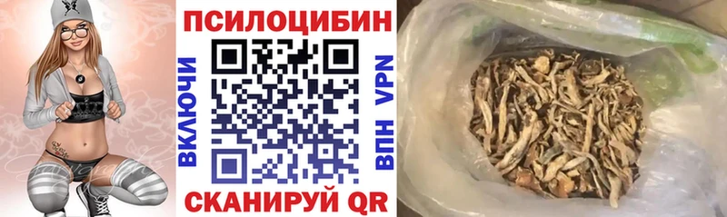 Галлюциногенные грибы GOLDEN TEACHER  Купить  Семилуки 